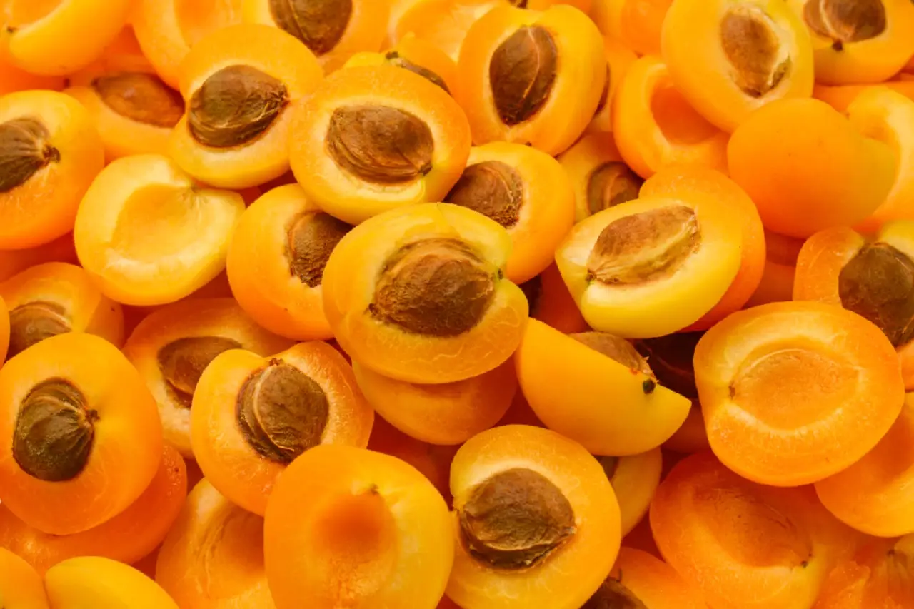 Albicocche e controllo glicemia: benefici per chi monitora lo zucchero nel sangue Albicocche e controllo glicemia: benefici per chi monitora lo zucchero nel sangue