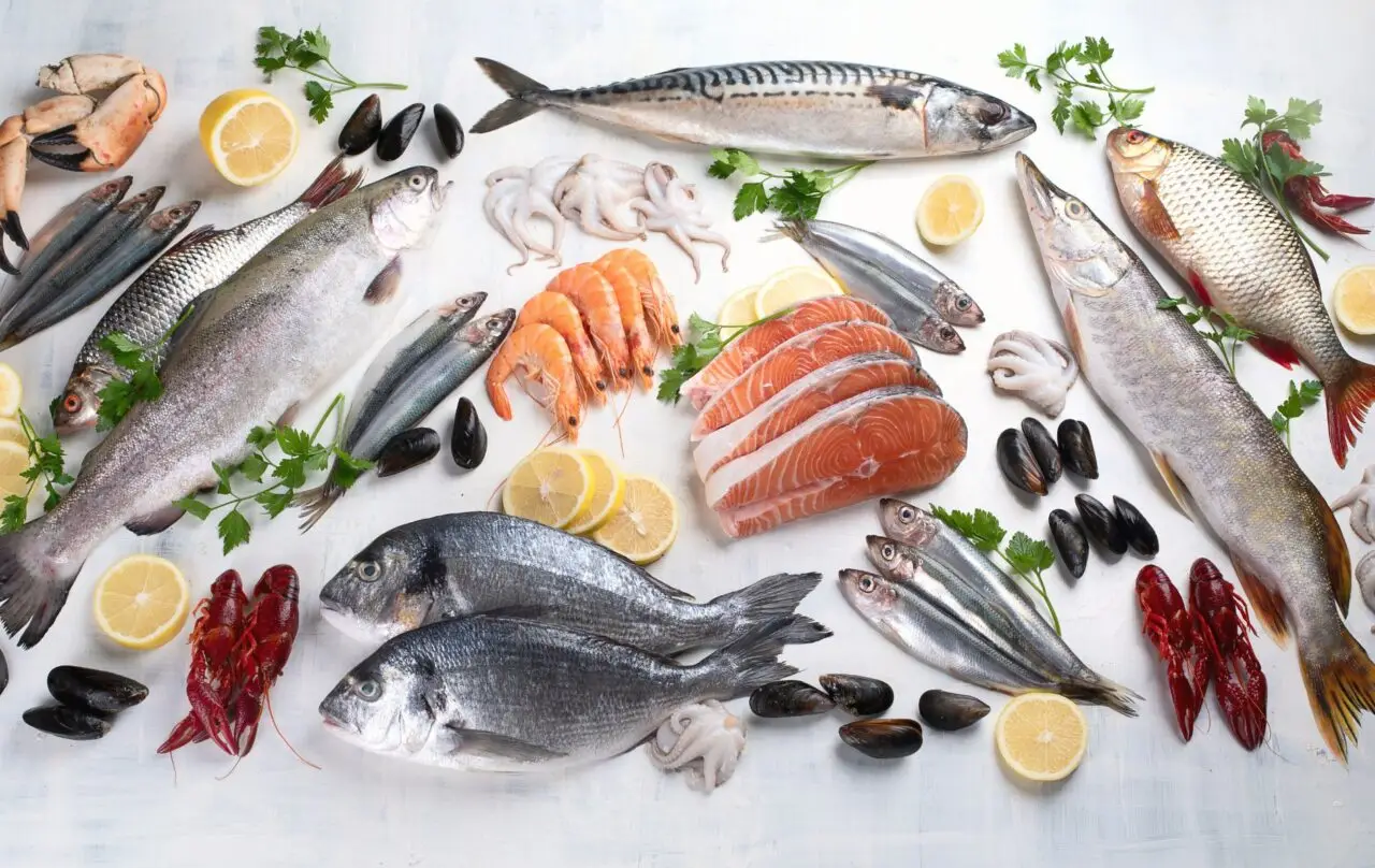 Il miglior alimento per il cervello: il consiglio del medico Il miglior alimento per il cervello: il consiglio del medico